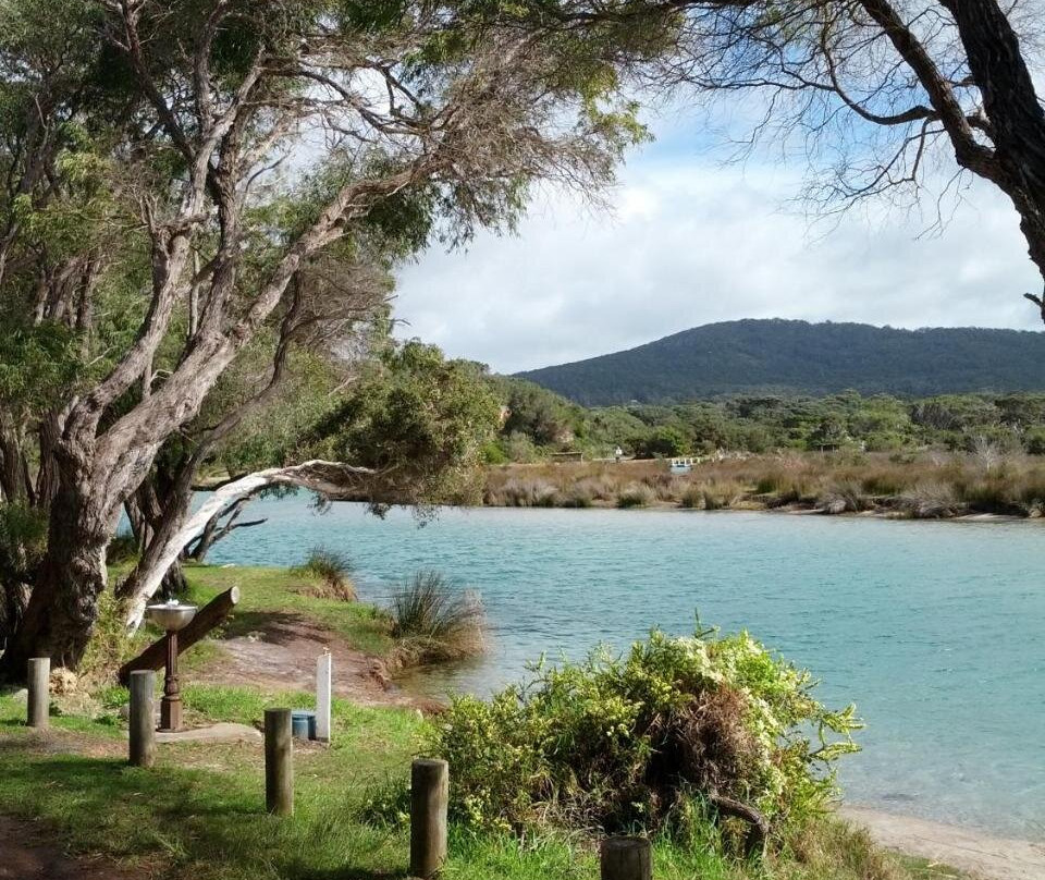 Ocean Beach Hideaway主图