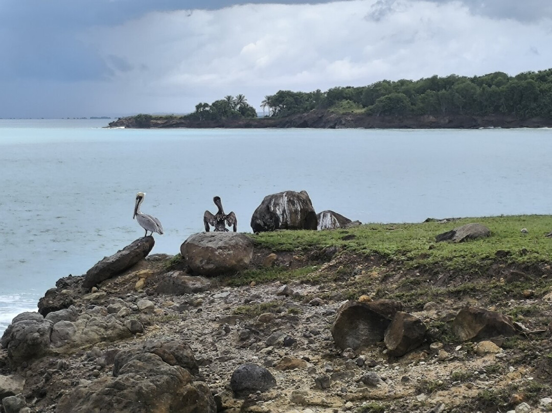 Pointe Allegre-Sainte Rose必去景点