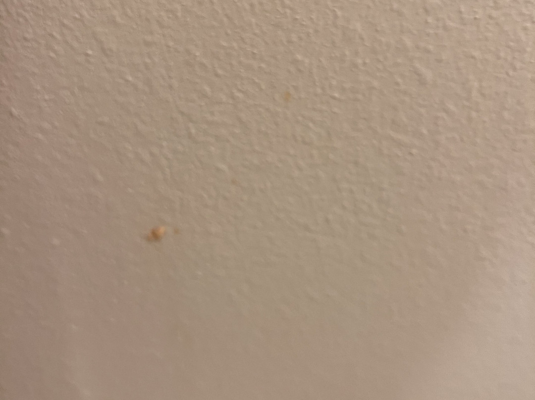 Holiday Inn Express & Suites Omaha South - Ralston Arena by IHG主图