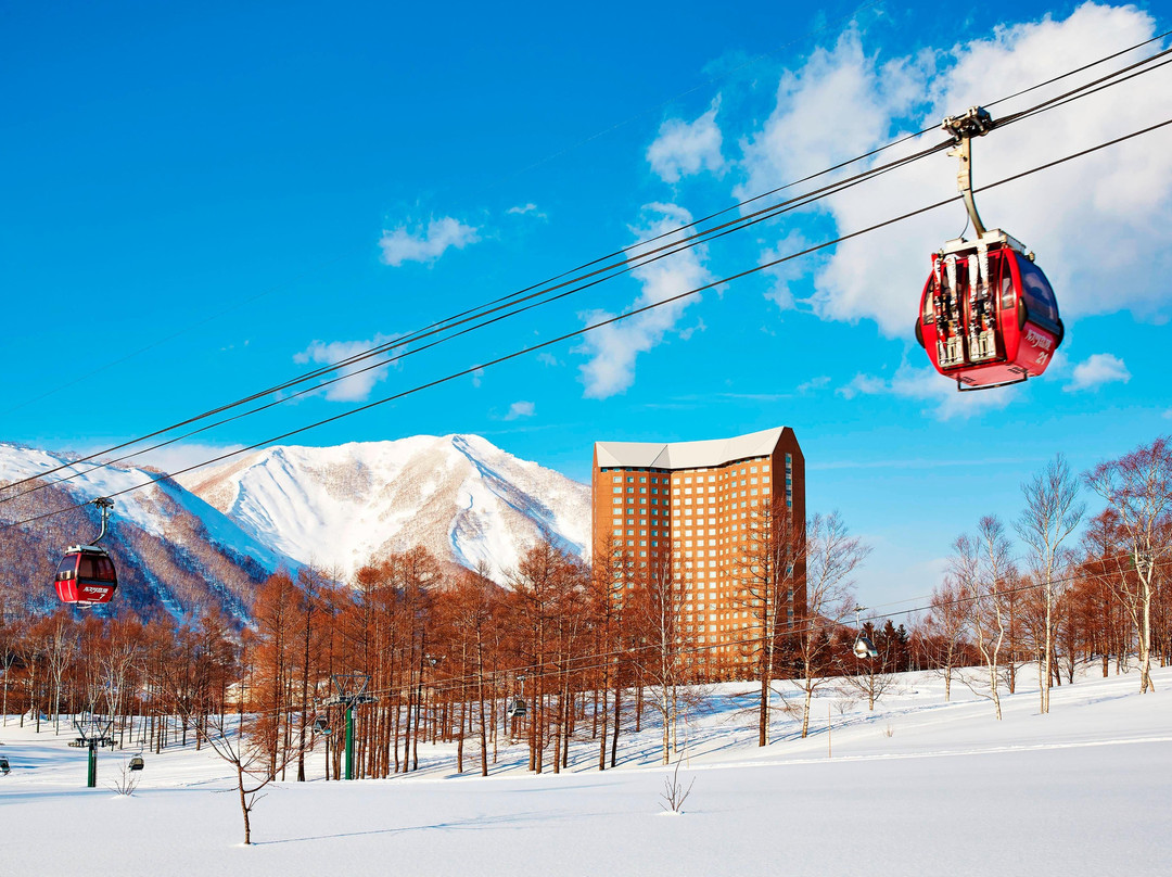 真狩村旅游攻略图片