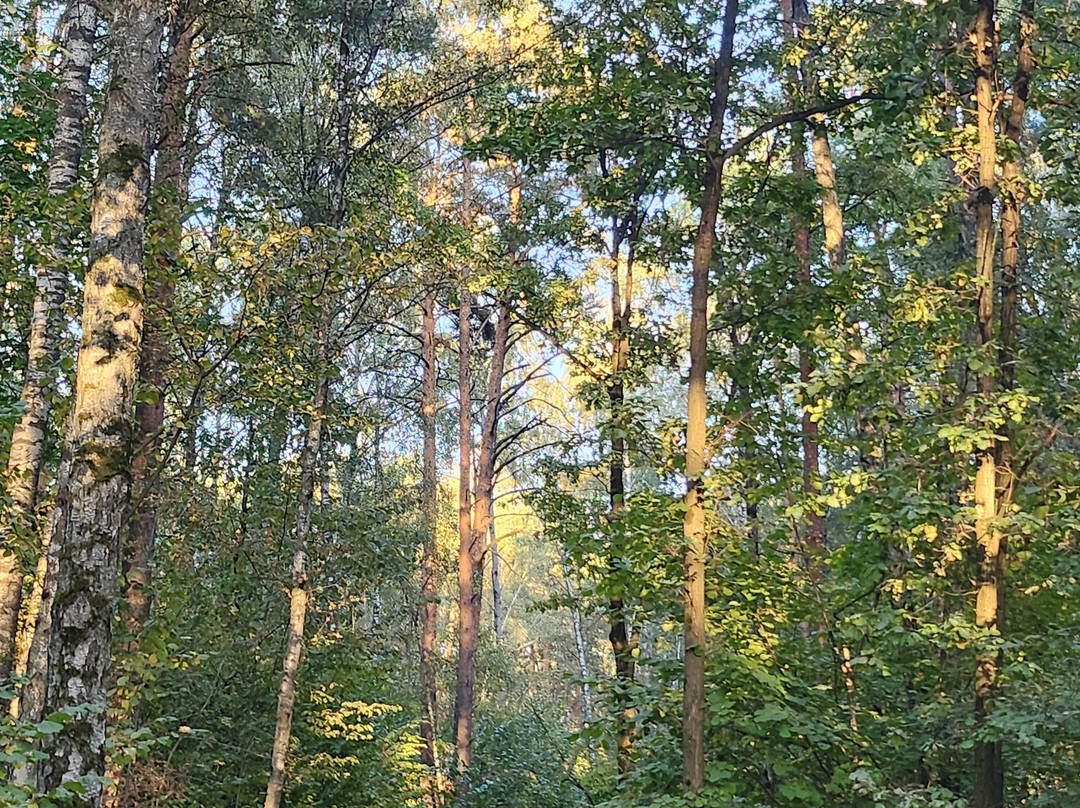Meshherskiy Park景点图片