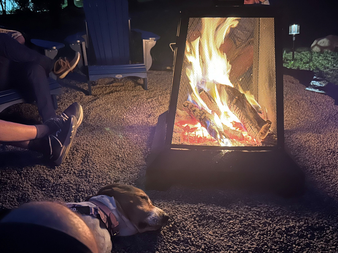 Gîte La Maison Bleue - Dunham主图