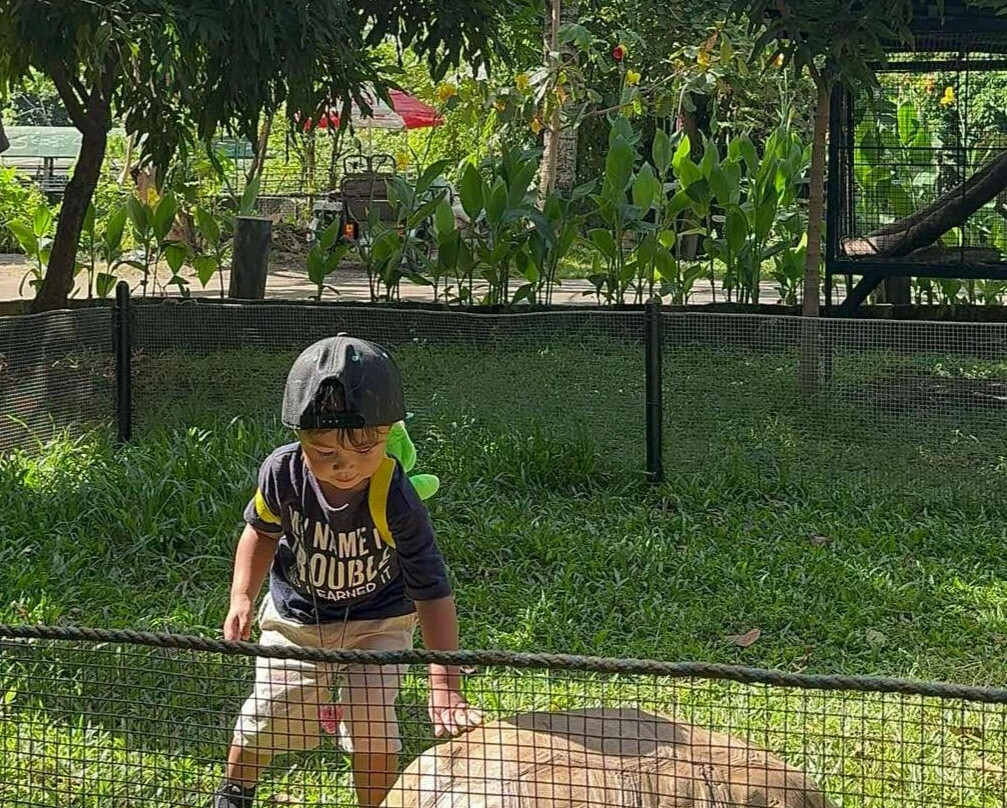 Crocolandia-宿雾必去景点