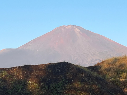 富士樱酒店主图