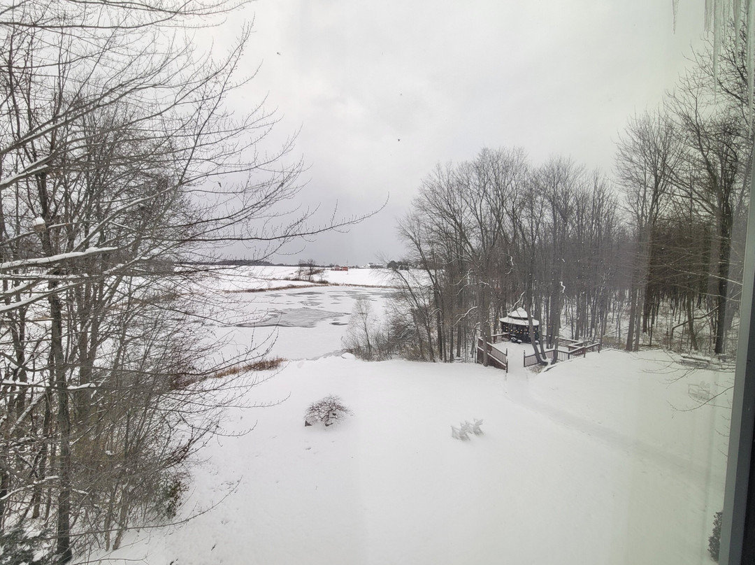 Castle In The Country Bed & Breakfast Inn主图