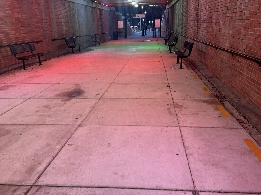 Riverfront Park-蒙哥马利必去景点