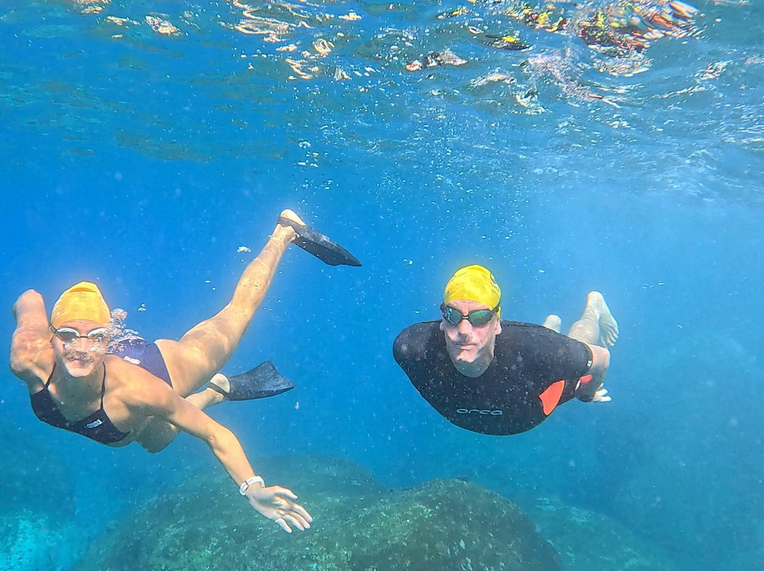 Swimmadeira - Swimming Holidays-马德拉群岛必去景点