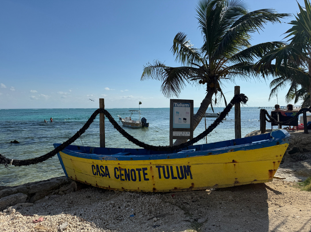 Casa Cenote Hotel主图