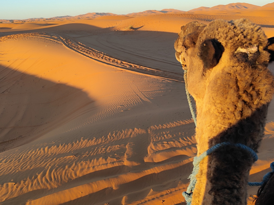 Morocco Sand Tours-卡萨布兰卡必去景点