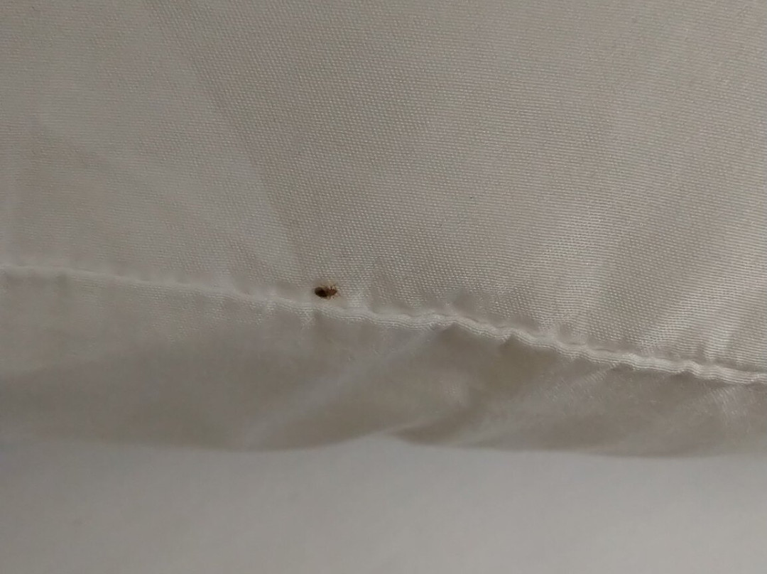 Country Inn & Suites by Radisson, Effingham, IL主图