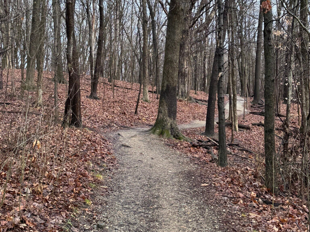 Brandywine Falls-Sagamore Hills必去景点
