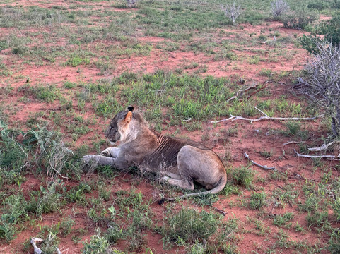 Dashna Safari Kenia-瓦塔木必去景点