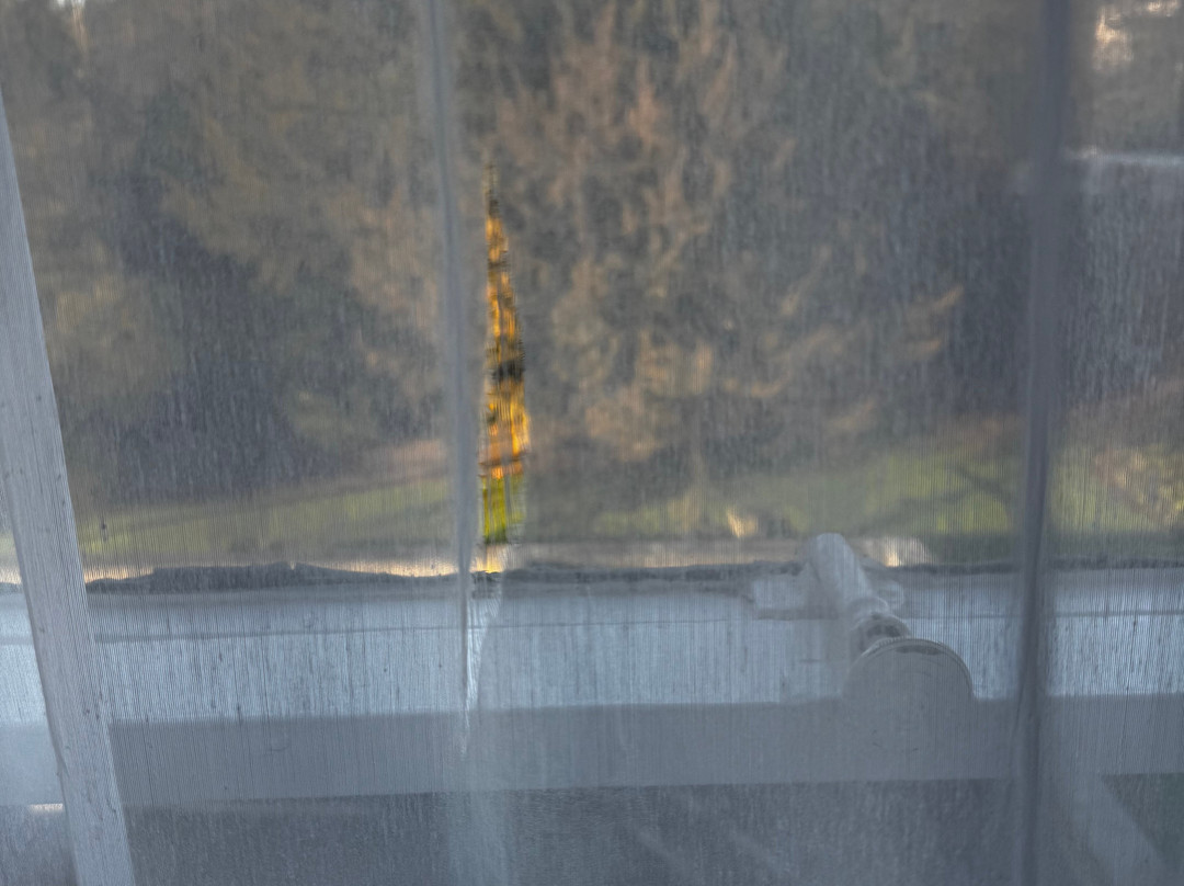 The Old Swan Hotel主图