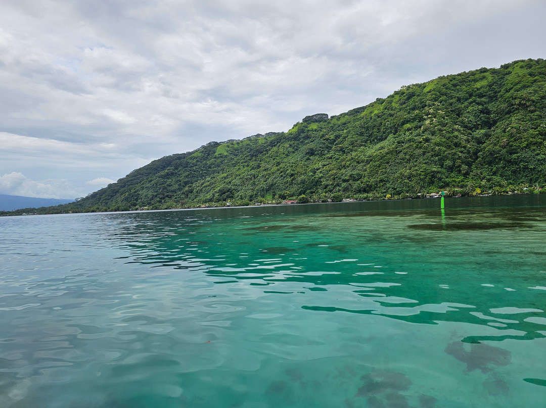 Tahiti iti pearl farm - La Ferme Perlière Touristique de Tahiti-景点图片