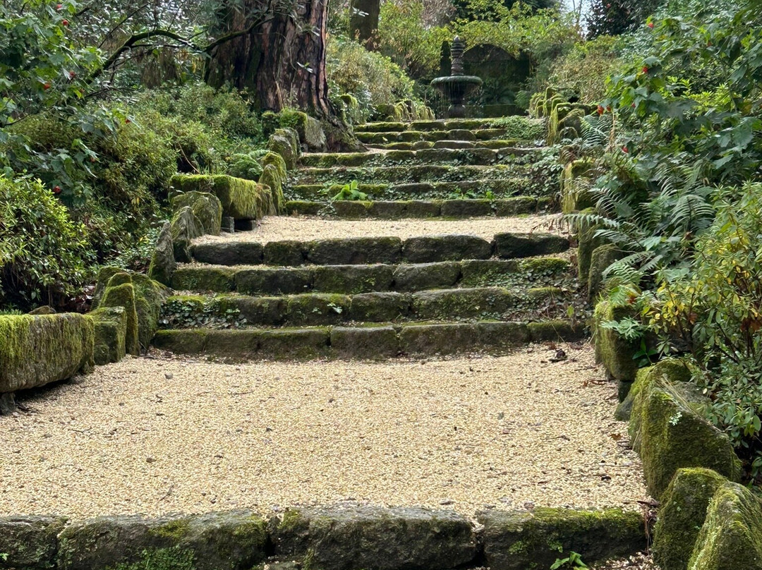 Quinta da Aveleda景点图片