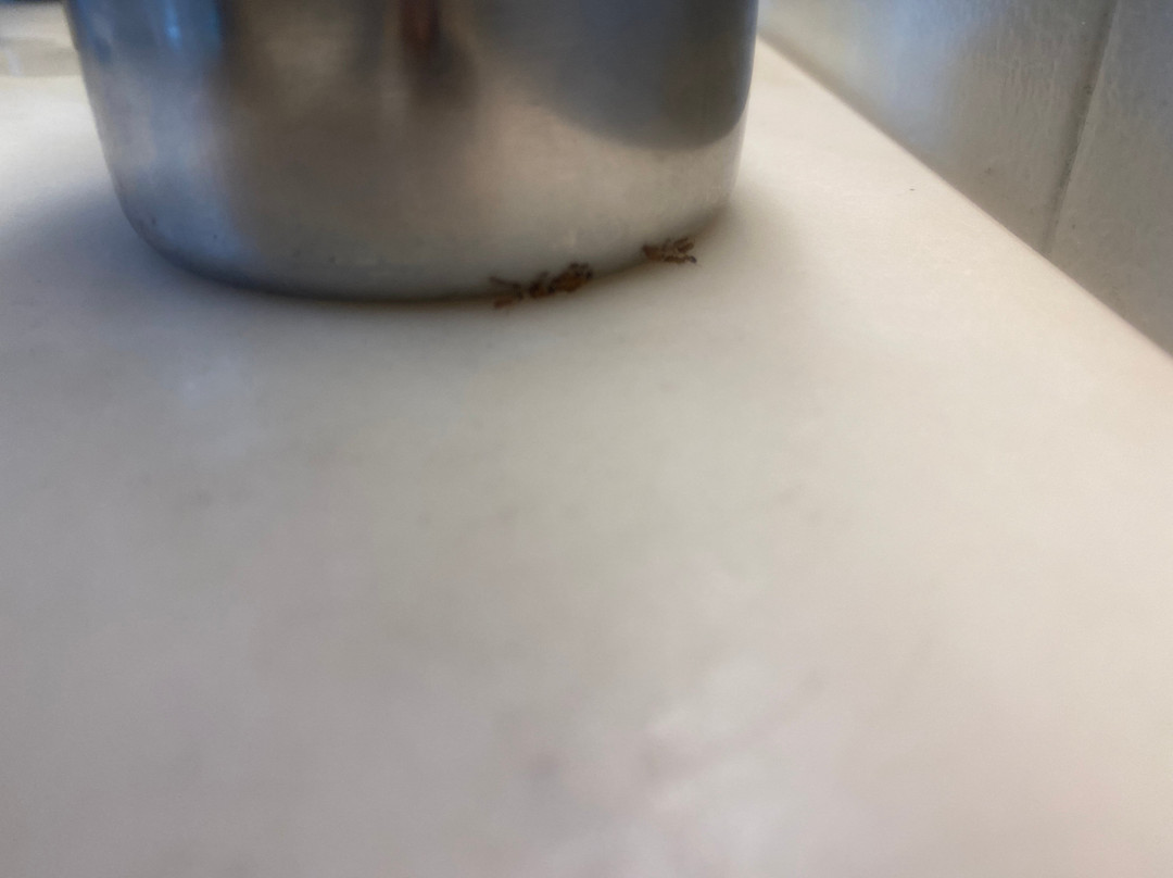 Justindia | Ipoh Branch