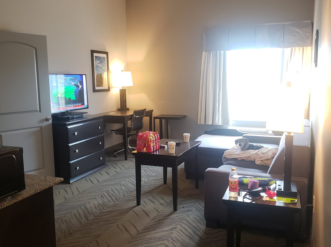 La Quinta Inn & Suites by Wyndham-Brookshire-West Katy主图