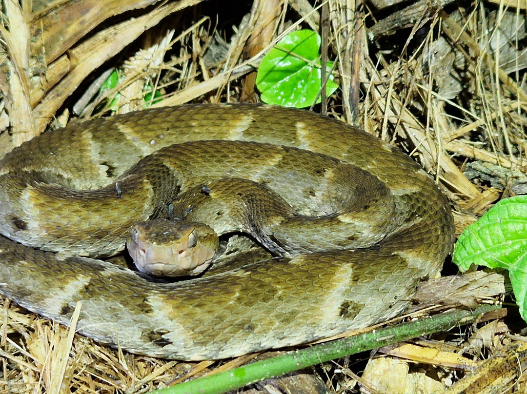 Suforyou-帕拉马里博必去景点