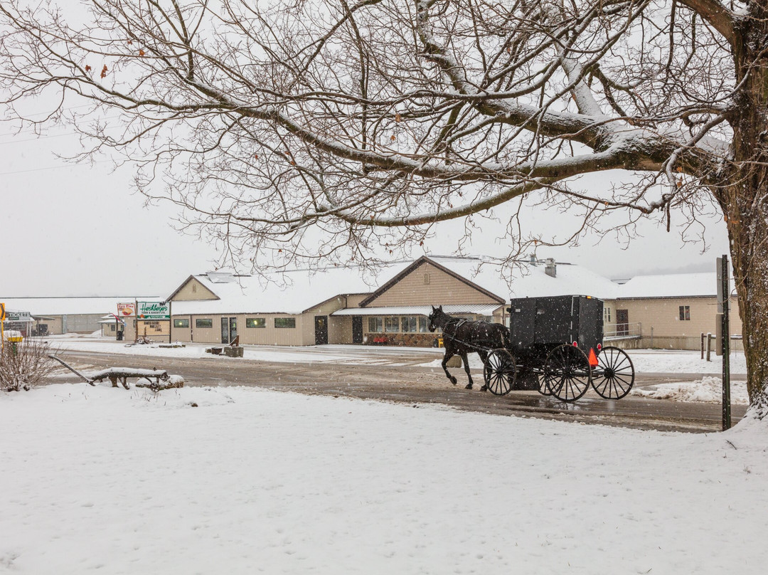 Millersburg旅游景点-Hershberger's Farm & Bakery