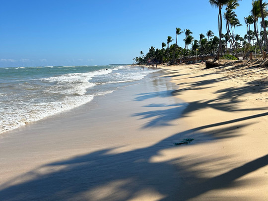 Tropical Treasure-Uvero Alto必去景点