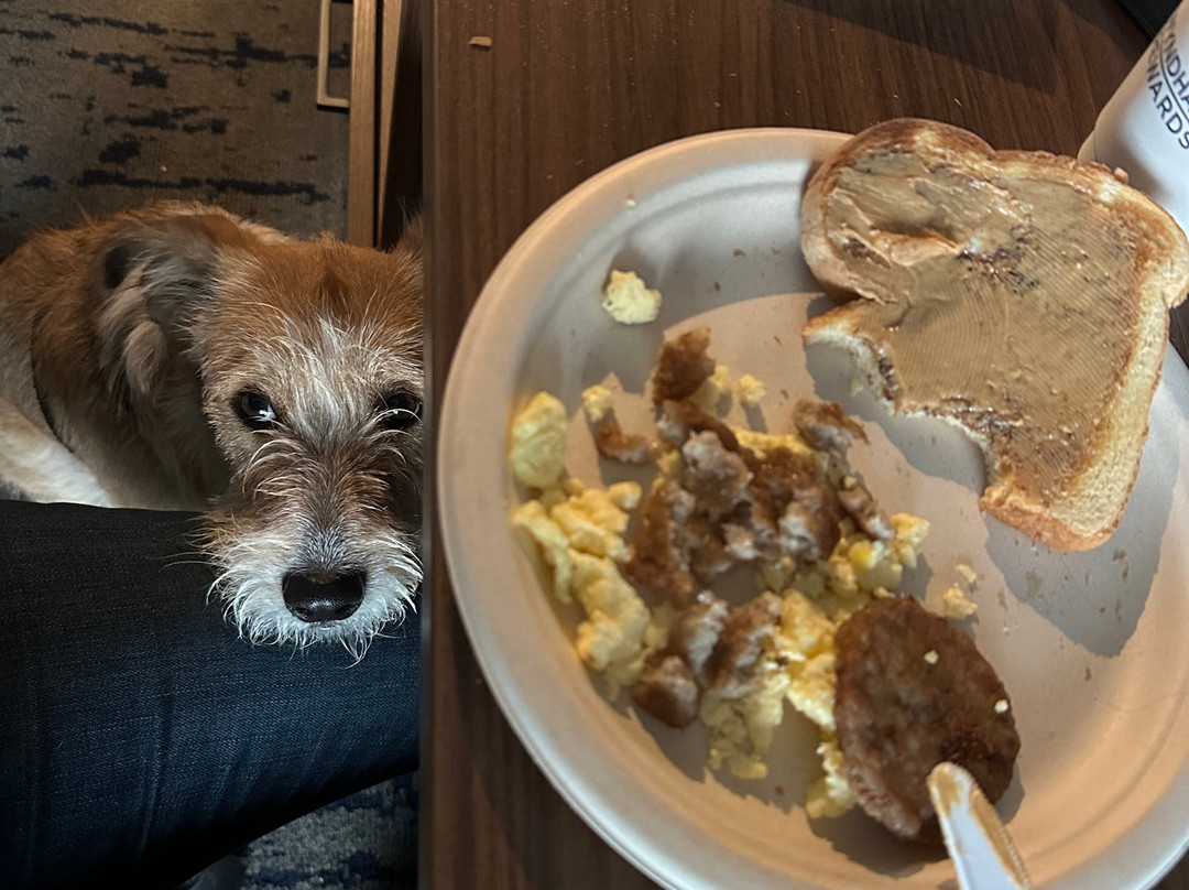 La Quinta Inn & Suites By Wyndham Marysville主图