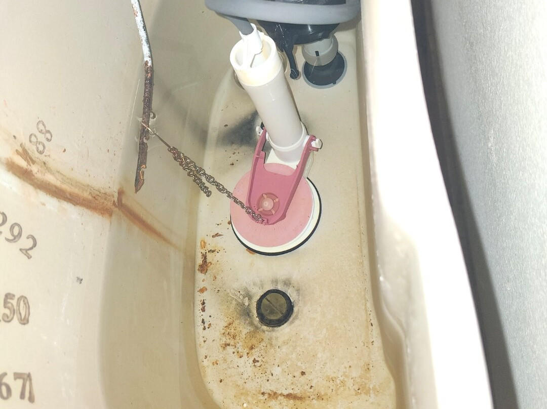 Super 8 by Wyndham Danville主图