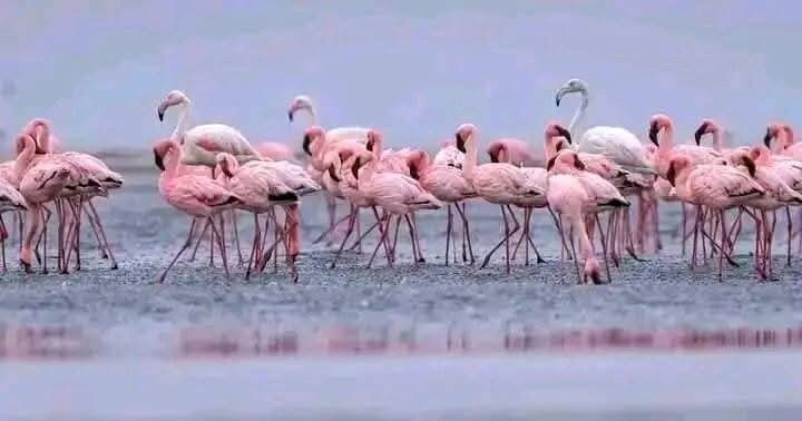 Lake Simbi Nyaima-Homa Bay必去景点