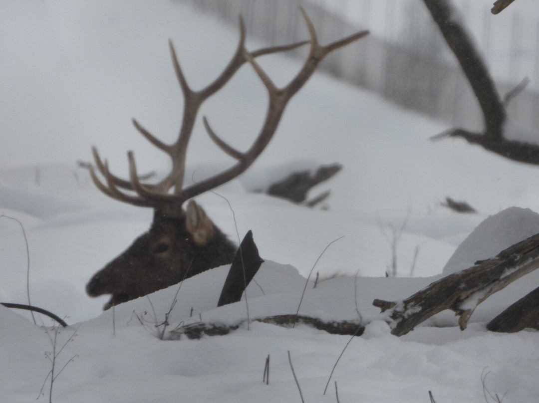 Beaver Creek Properties & Realty主图