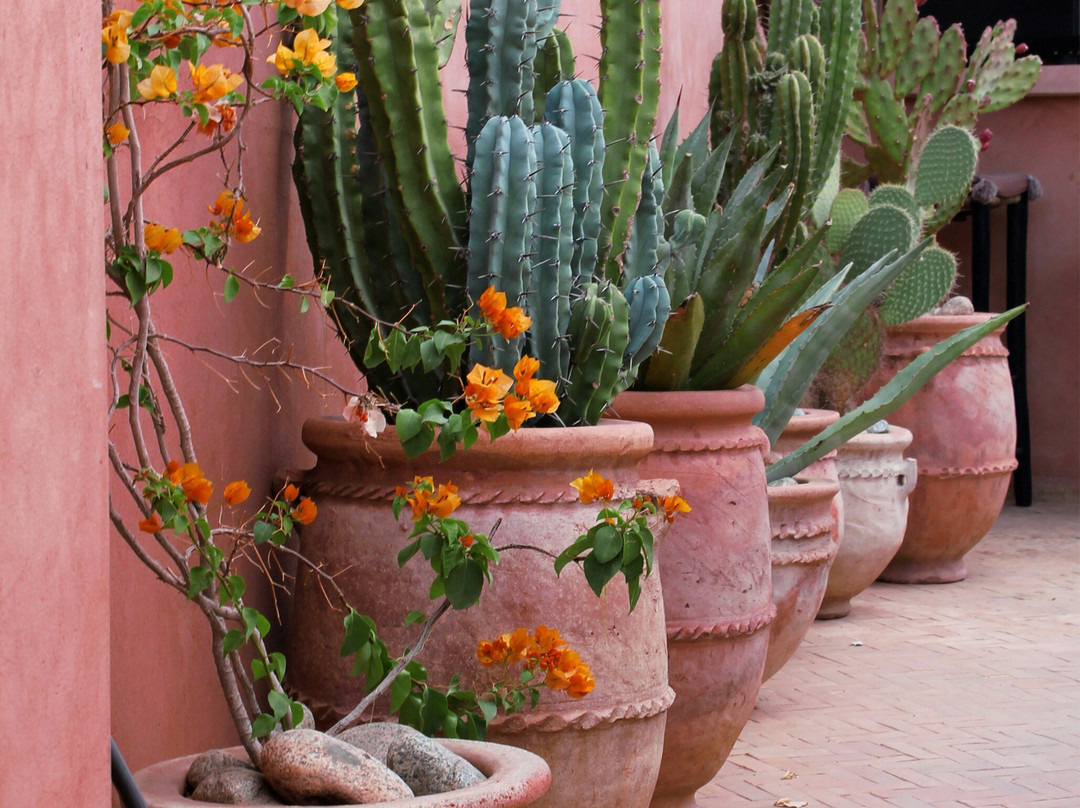 Desert Merzouga Tours-非斯必去景点