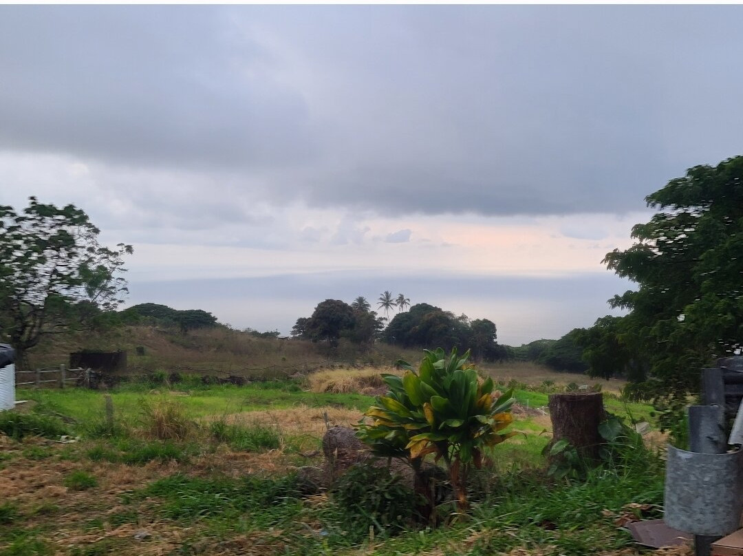 蜻蜓农场-疗伤艺术中心主图