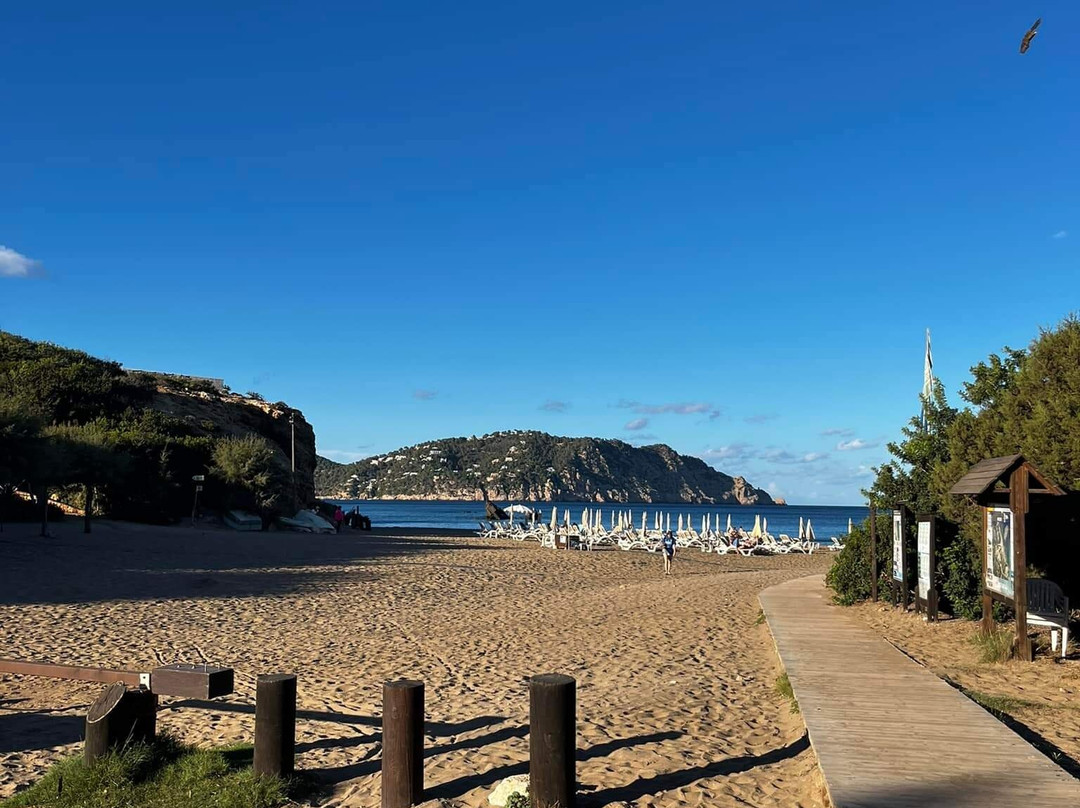 Playa de Es Figueral景点图片