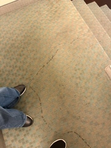 Staybridge Suites Middleton/ Madison-West by IHG主图