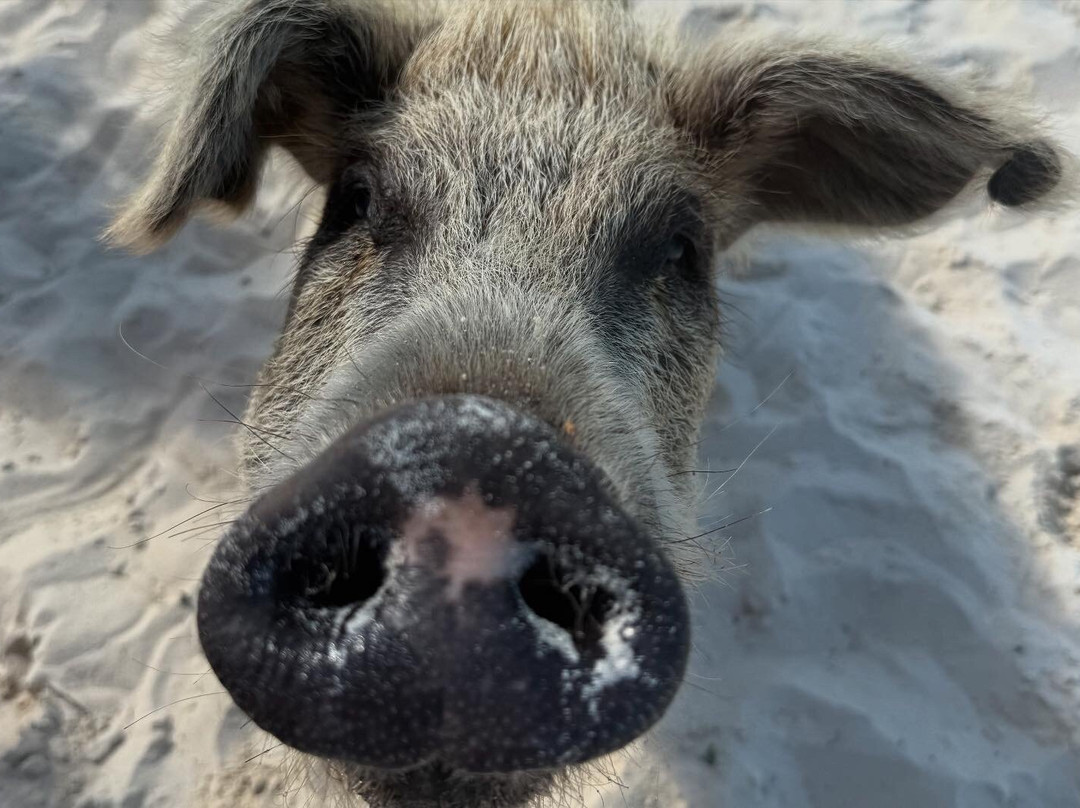 Triple A Adventures-大埃克苏马必去景点