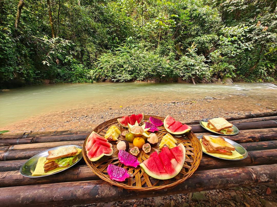 Orang Utan Bukit Lawang