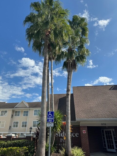 Residence Inn by Marriott Tampa Sabal Park/Brandon主图