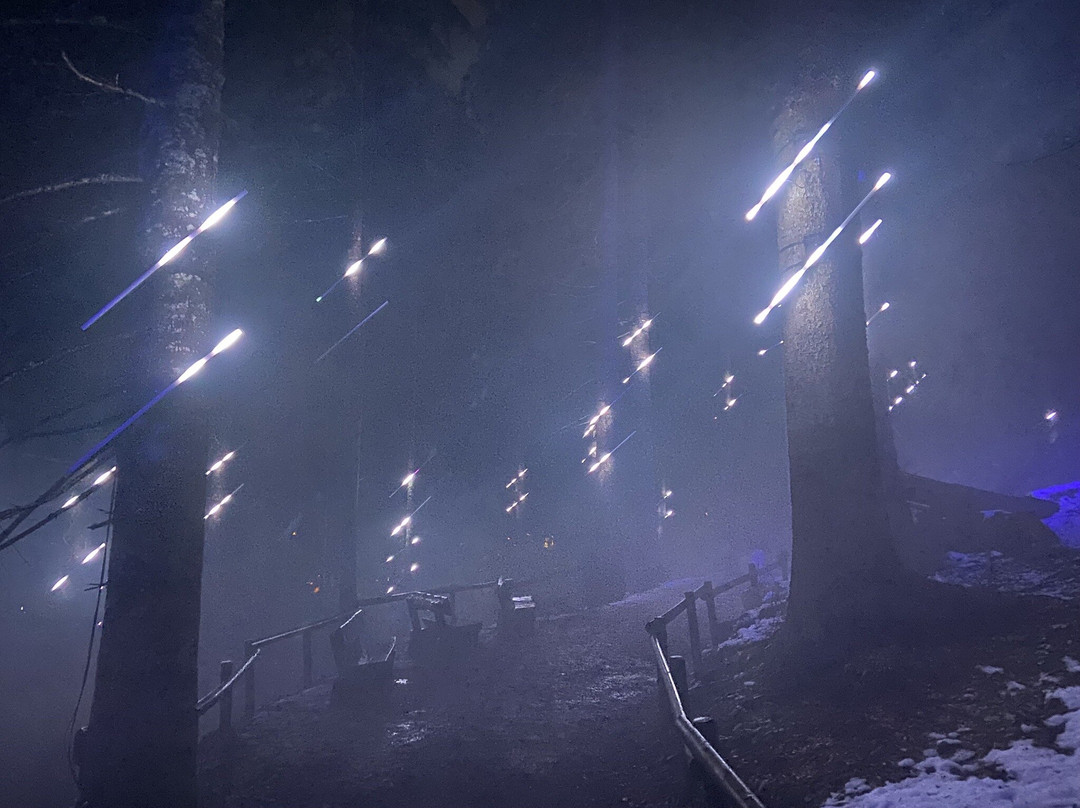 Alta Lumina景点图片