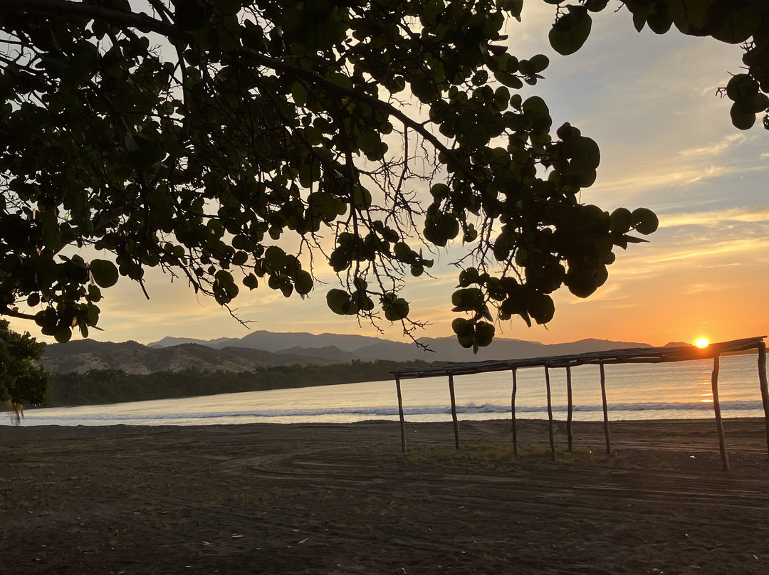 Hotel Marea Del Portillo - All Inclusive主图