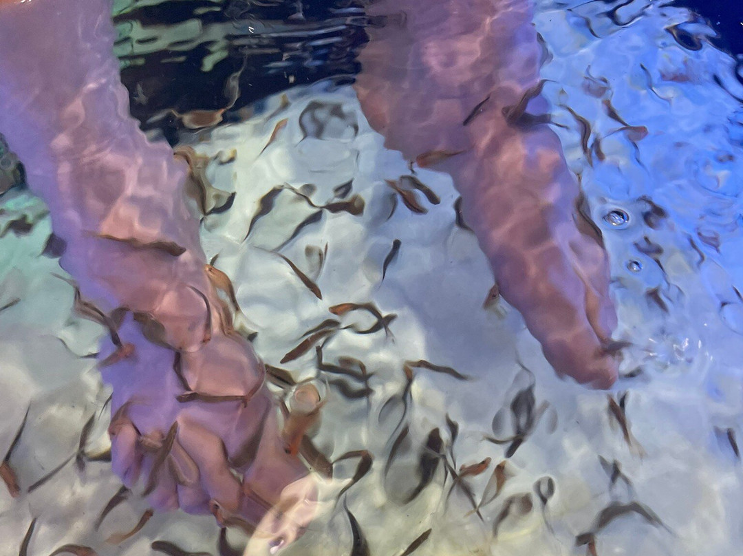 Sampeng Market-曼谷必去景点