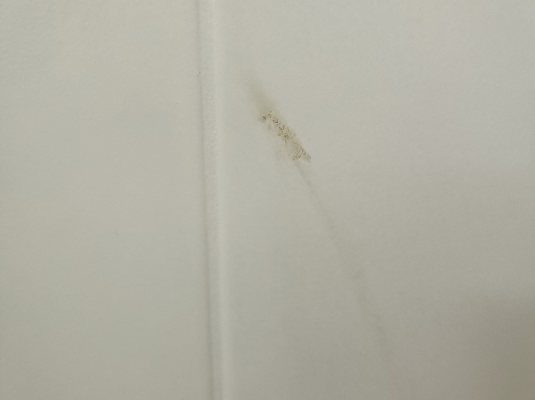 Courtyard Motor Inn主图