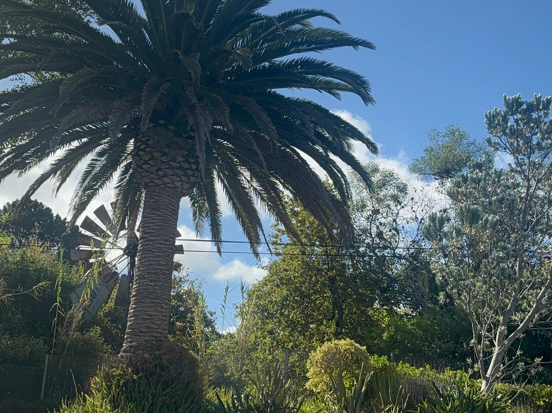 Nova Constantia Boutique Residence主图