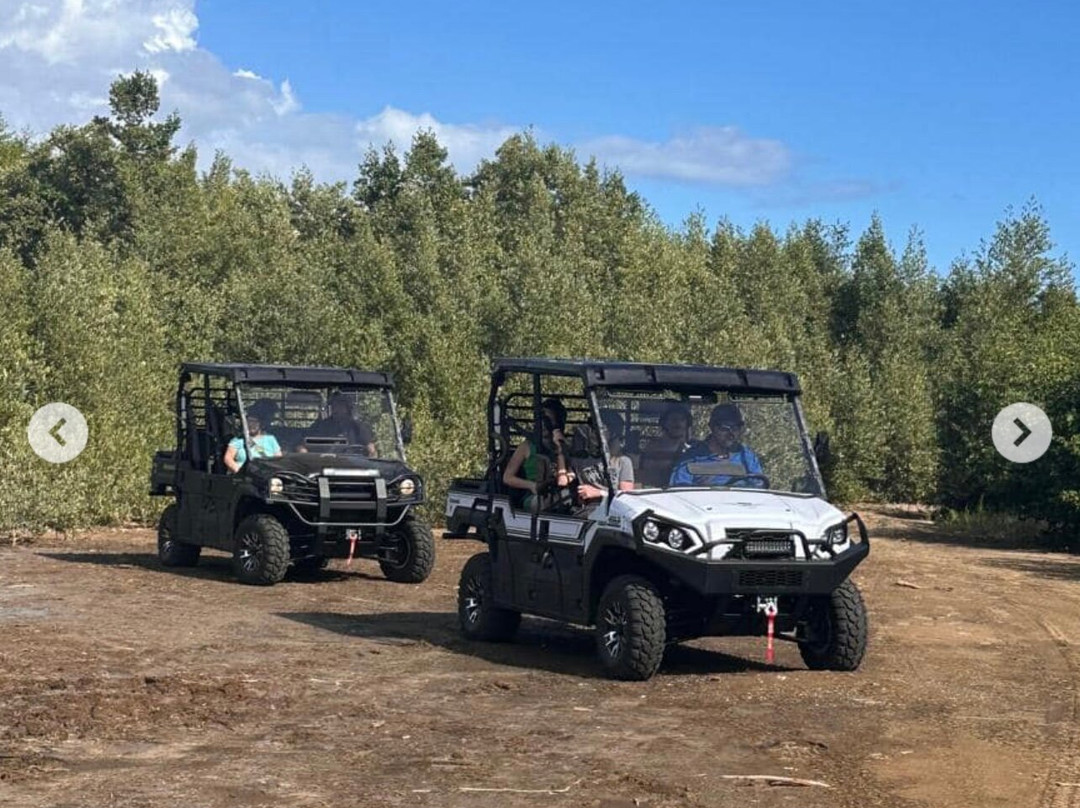 Eli Adventures-utv Rentals景点图片