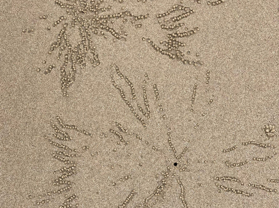 Spooky Beach景点图片
