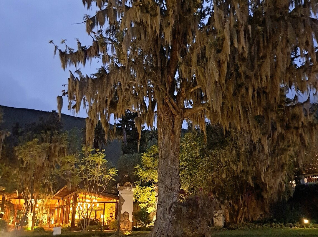 Hacienda Piman主图