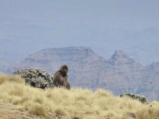 Daniel lakew-巴哈尔达尔必去景点