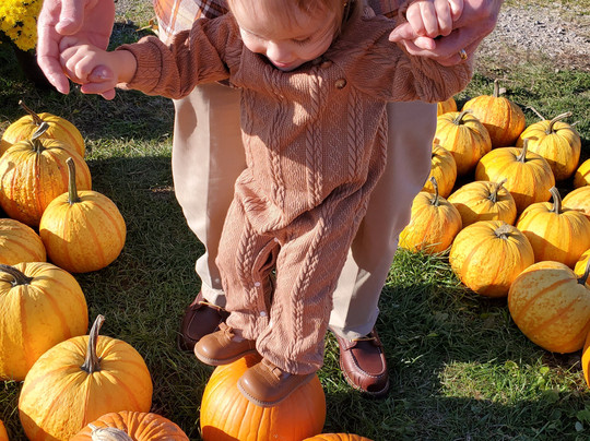 Pickering Hill Farms-Avon必去景点