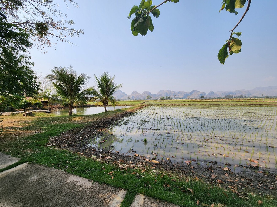 E-xperience by Safarine-北碧必去景点