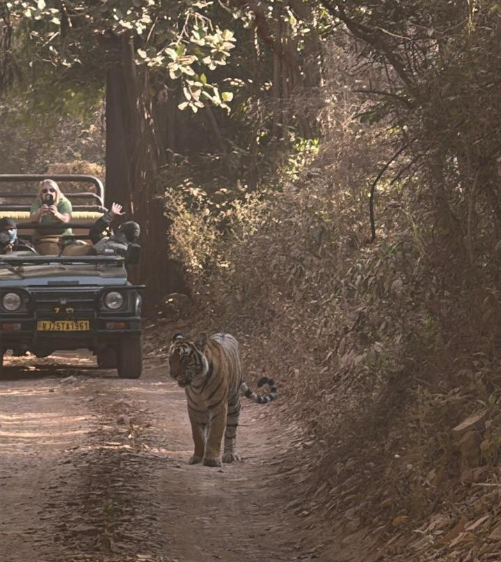 Ranthambore Jungle Safari-Ranthambhore Fort必去景点