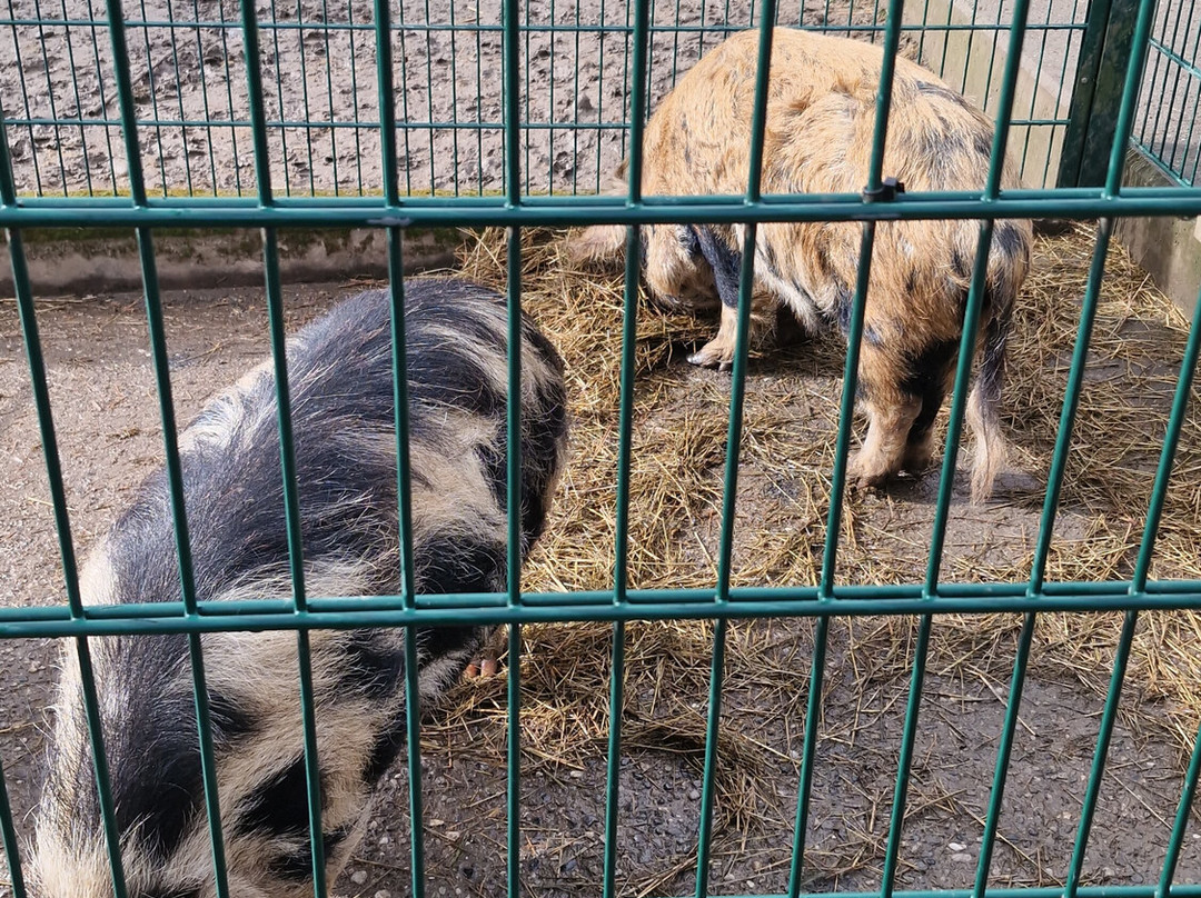 Bioparc Genève Pierre Challandes-Bellevue必去景点