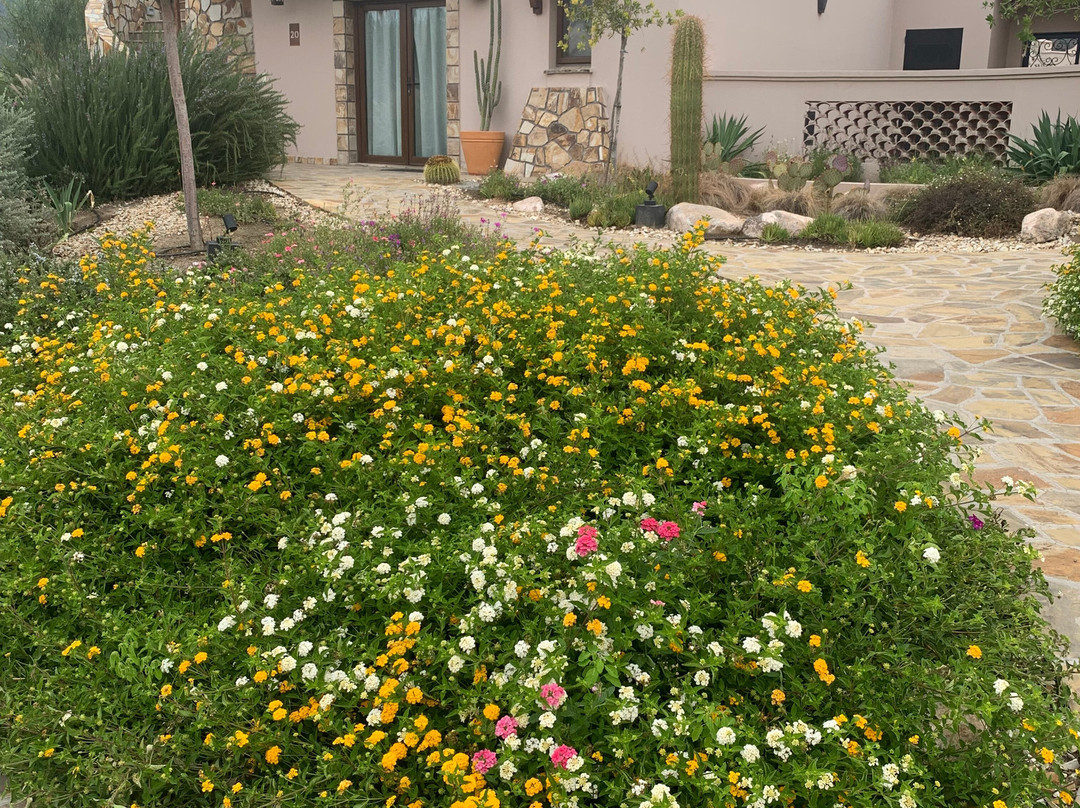 The Piattelli Wine Resort主图