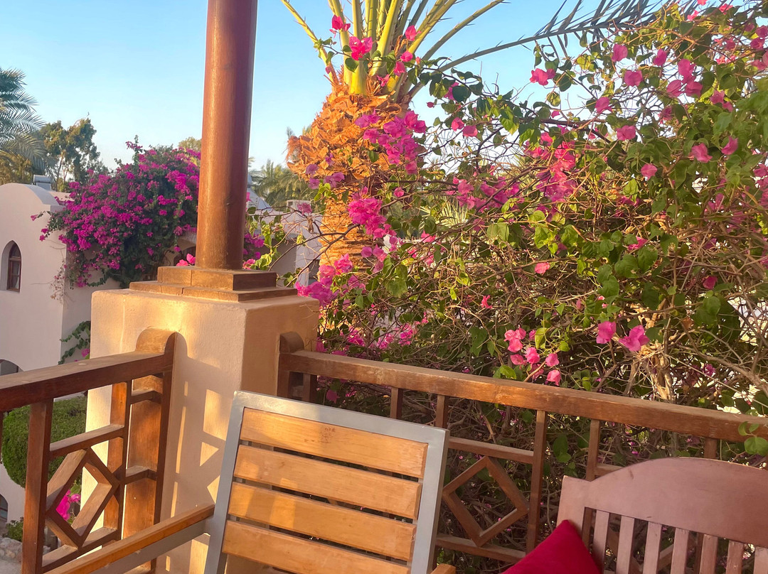 Sultan Bey Hotel主图